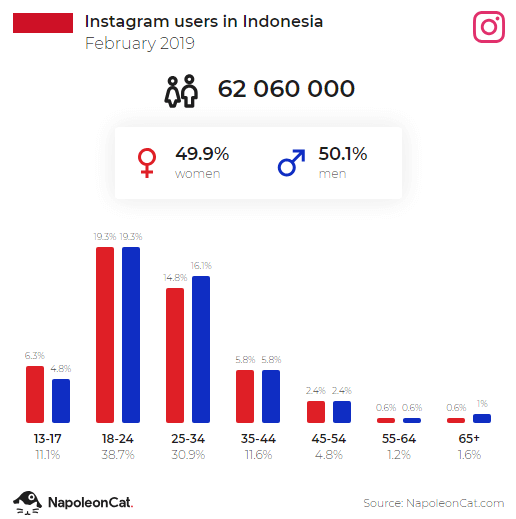 Data pengguna instagram 2019