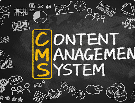 Content Management Stystem image
